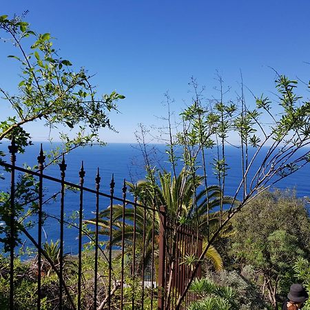 Villa Larnia De Tenerife Sauzal Kültér fotó