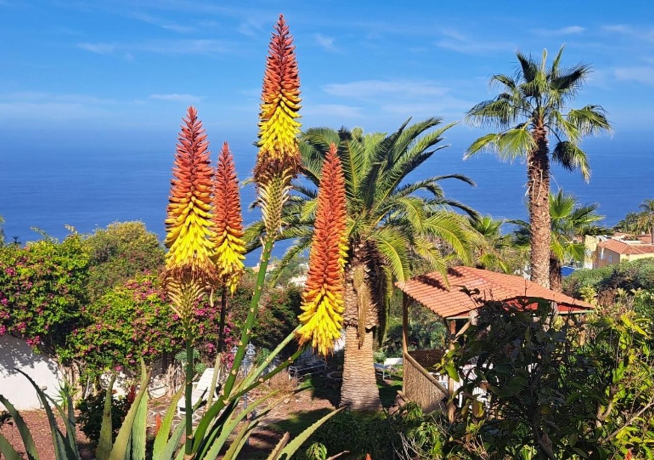 Villa Larnia De Tenerife Sauzal Kültér fotó