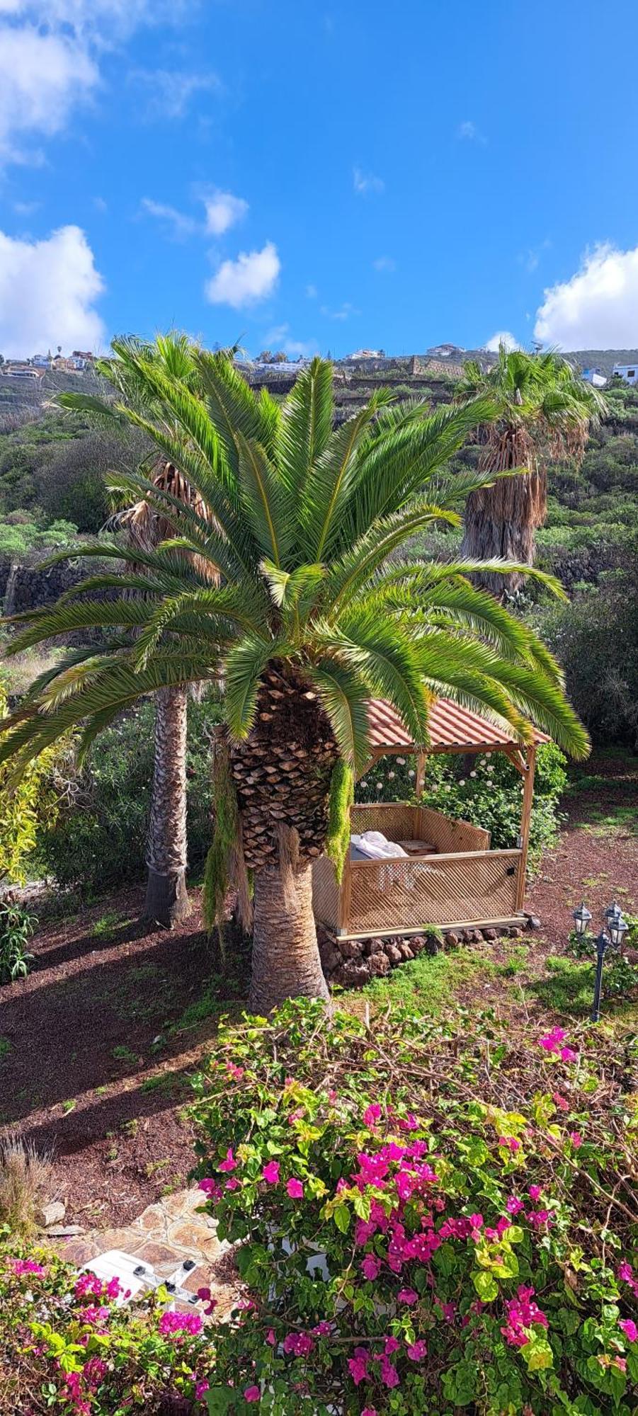 Villa Larnia De Tenerife Sauzal Kültér fotó