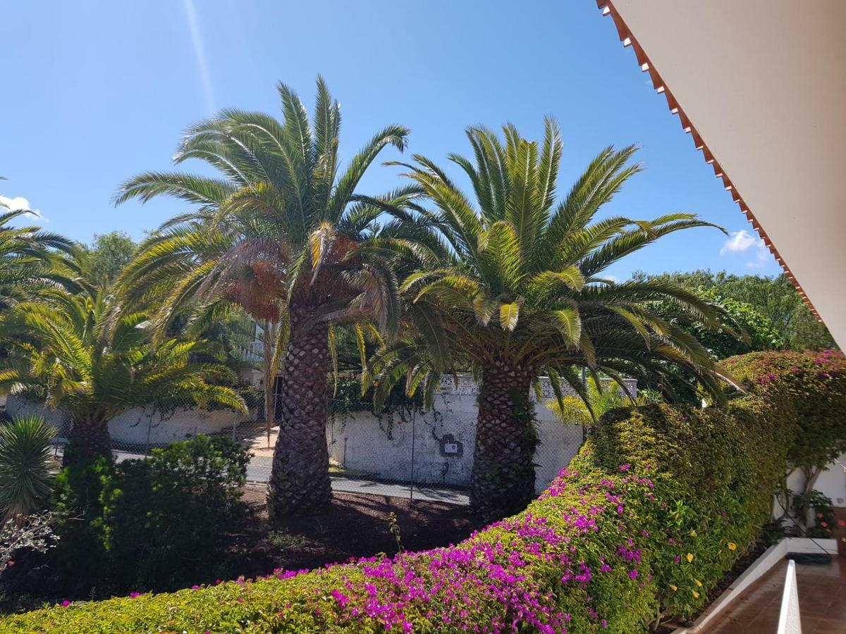 Villa Larnia De Tenerife Sauzal Kültér fotó