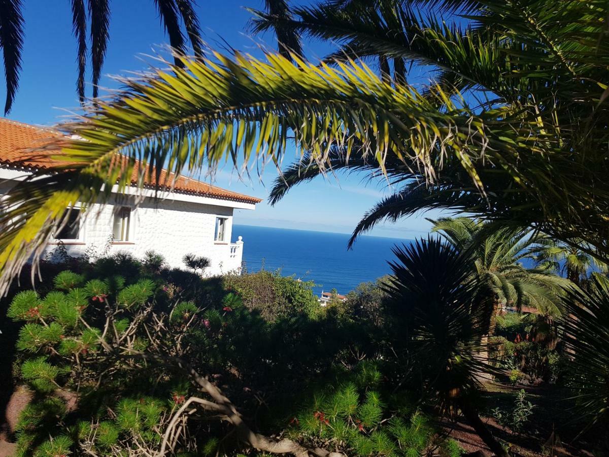 Villa Larnia De Tenerife Sauzal Kültér fotó