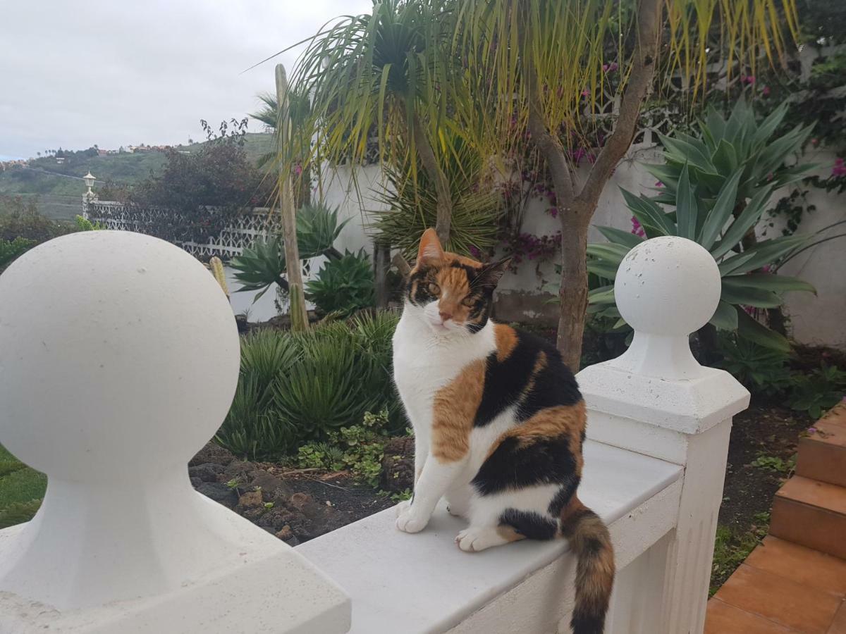 Villa Larnia De Tenerife Sauzal Kültér fotó