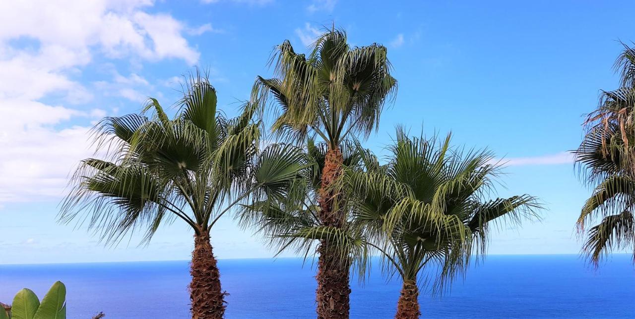 Villa Larnia De Tenerife Sauzal Kültér fotó
